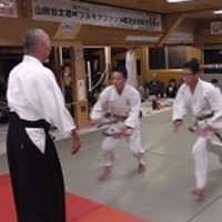 Aikido experience