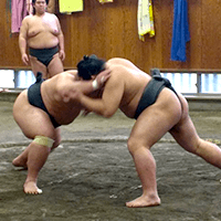 相撲体験